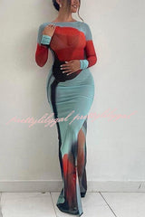 Mesh Floral Print Round Neck Long Sleeve Stretch Maxi Dress