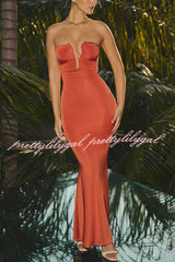 Rosa Jersey Hardware Detail Strapless Stretch Maxi Dress