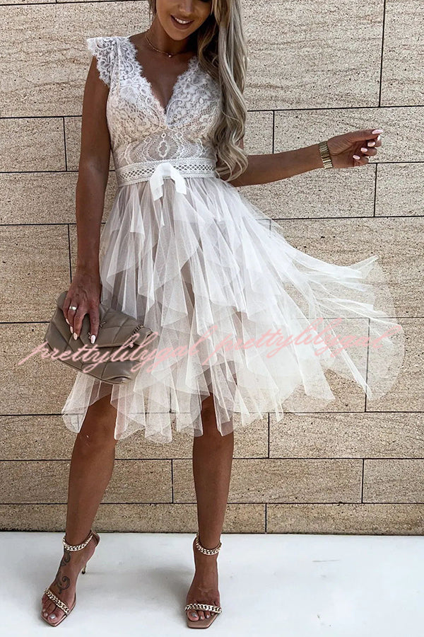 Infinite Beauty Lace Tulle Midi Dress