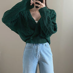 V-Neck Sweater Cropped Linen Pattern Knit Sweater